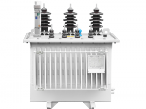 10kV oil-immersed distribution transformer
